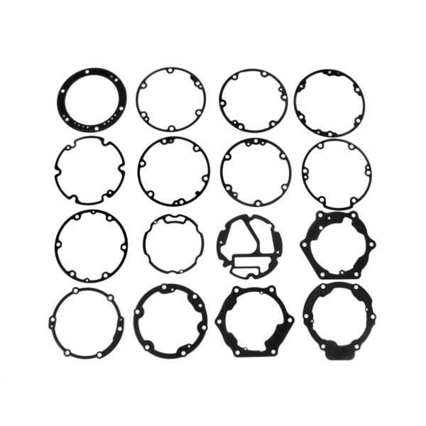 Sealing Gasket